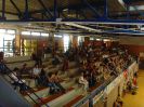 BMS 2007