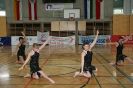 BMS 2008
